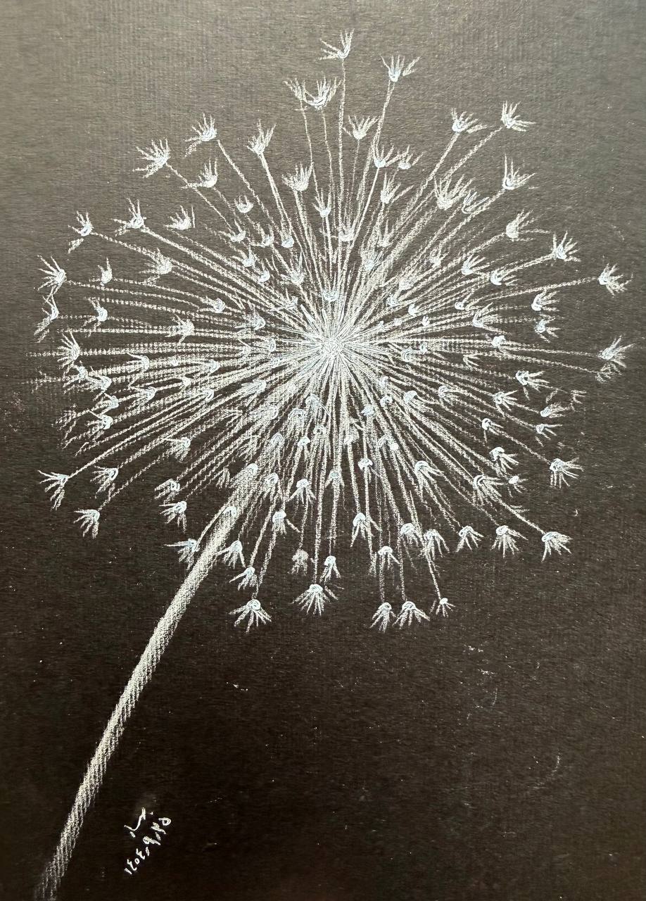 آموزش نقاشی سیاه قلم بهار عباسی